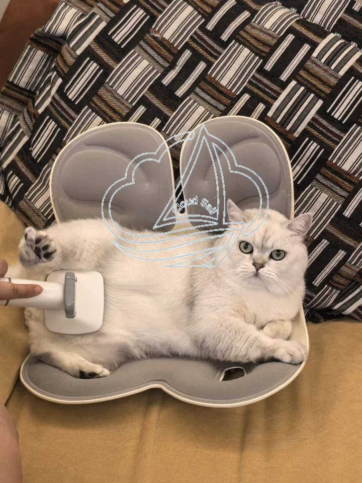 Multi-Functional Pet Hair Remo - Dog Grooming Clippers 评论和价格