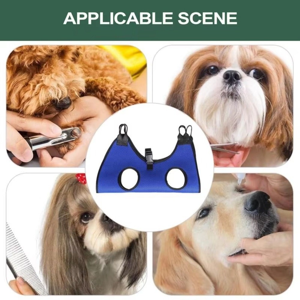 Large Pet Grooming Hammock Ant - Dog Grooming Clippers 评论和价格