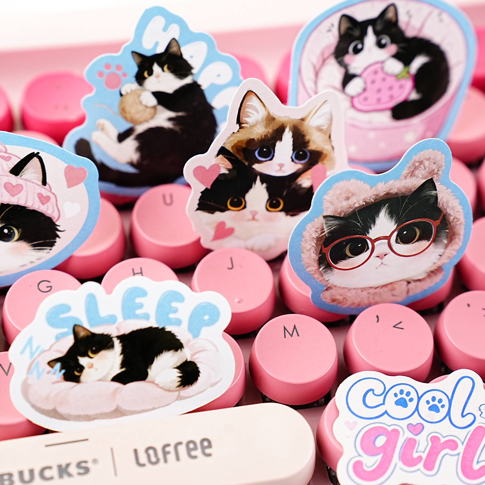 Etori Life Cute Pet Party Set  - Pet Supplies Gift Card 评论和价格